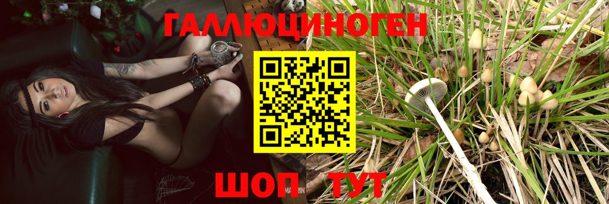 Псилоцибиновые грибы Psilocybe  Галлюциногенные грибы ЛСД  Еманжелинск  Вход с VPN 