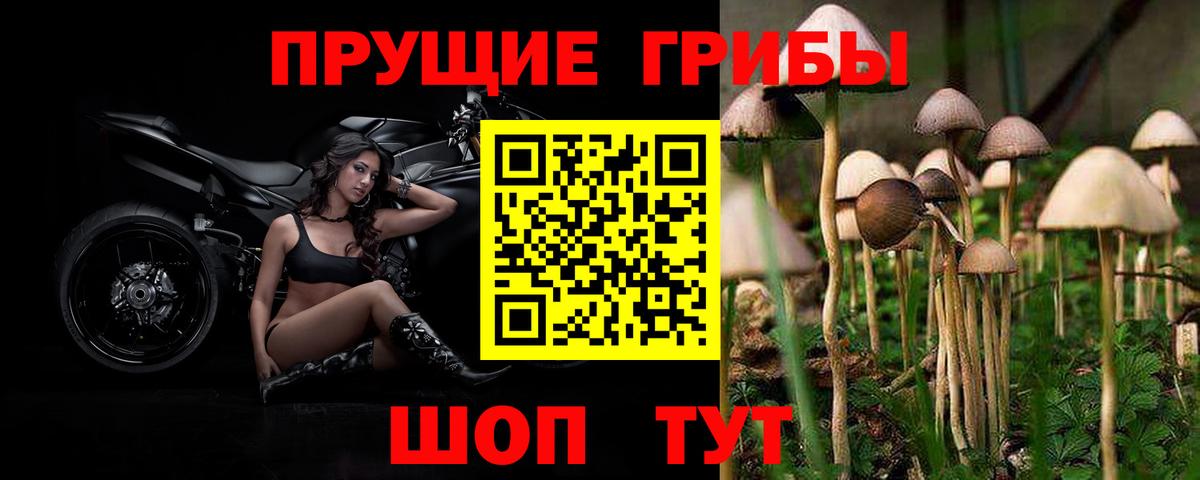 Псилоцибиновые грибы мухоморы Еманжелинск